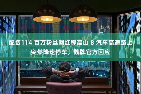 配资114 百万粉丝网红称高山 8 汽车高速路上突然降速停车，魏牌官方回应