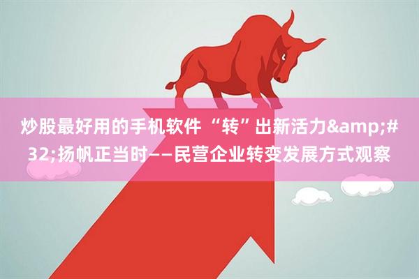 炒股最好用的手机软件 “转”出新活力&#32;扬帆正当时——民营企业转变发展方式观察