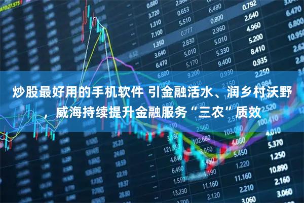 炒股最好用的手机软件 引金融活水、润乡村沃野，威海持续提升金融服务“三农”质效